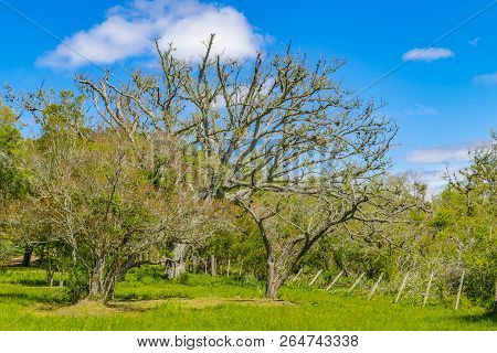 Indigenous Park, Maldonado Department, Uruguay