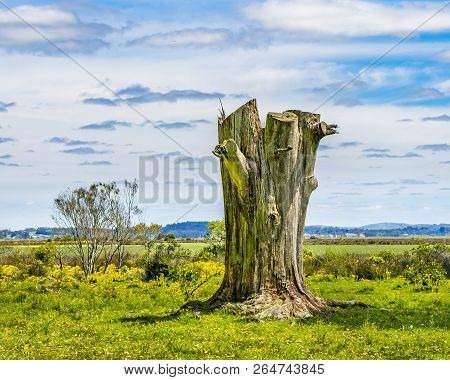 Indigenous Park, Maldonado Department, Uruguay