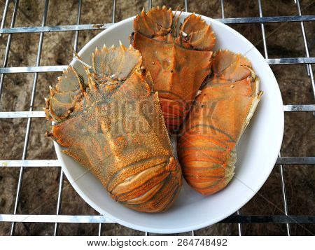 Stomatopods Seafood Barbecue On Beach