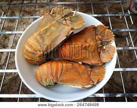 Stomatopods Seafood Barbecue On Beach