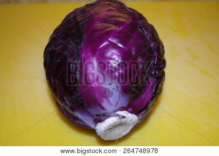 First Autumn Purple Cabbage In The Garden