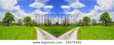 美丽的夏天景观和交叉路-泥路