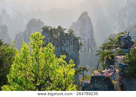 Famous tourist attraction of China - Zhangjiajie stone pillars cliff mountains on sunset at Wulingyuan, Hunan, China
