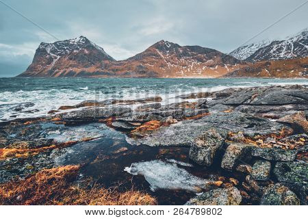 Rocky coast of fjord of Norwegian sea in winter. Lofoten islands, Norway