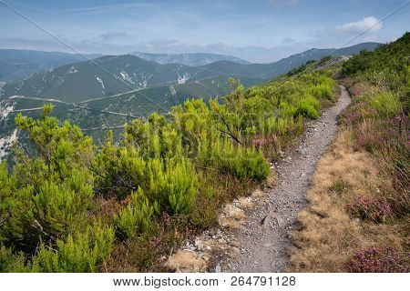 Camino De Santiago Trail Between Pola De Allande And Grandas De Salime, Asturias, Spain