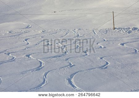 Skier' and snowboarder's curves in the snow