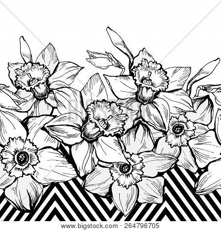 Geometrical Seamless Border Painting With Hand Drown Narcissus. Vector Flowers On Bright Graphic Bac