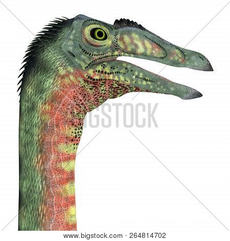 Deinocheirus Dinosaur Head 3d Illustration - Deinocheirus Was A Carnivorous Theropod Dinosaur That L