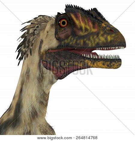 Deinonychus Dinosaur Head 3d Illustration - Deinonychus Was A Carnivorous Theropod Dinosaur That Liv