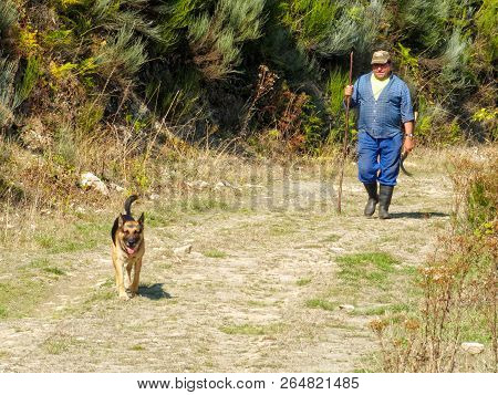 A Man And His Dog Are Walking Home On A Dirt Road Up In The Mountains - San Fiz De Seo, Castile And 
