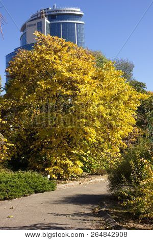 Ukraine Kiev - November 2018: The Inhabitants Of The City Came To The Academic Fomin University Bota