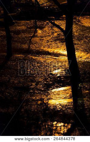 Rainy Walking Paths, Trees And Shadows Silhouettes, Street Light Reflections From The Wet Land And P