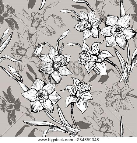 Floral Seamless Pattern With Hand Drawn Flowers Daffodils, Narcissus. Monochrome Floral Elements On 