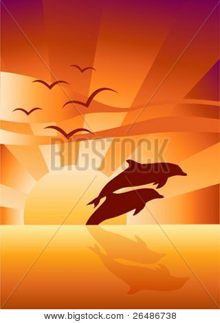 Illustrazione vettoriale di due delfini nuotare in sfondo tramonto