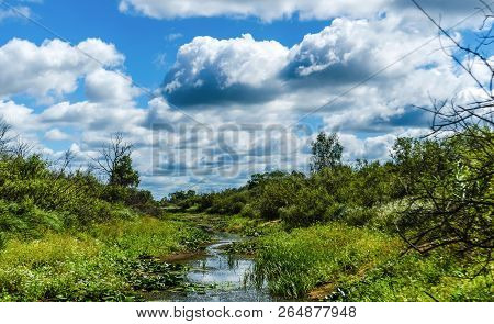 Dried River With Dirt And Forest Silhouette. Belarusian Polesie. Swamp Against Green Vegetation And