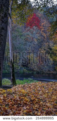 Puchkoriai Landscape Reserve. Golden Autumn Time Near Vilnia River