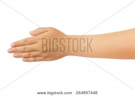Human Hand Isolate On White Background