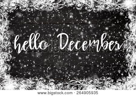 Hello December Lettering Design. New Year And Christmas Celebrat