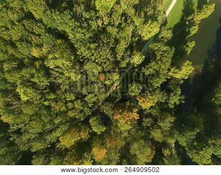 Road In Autumn, Chamarande, Essonne, Ile-de-france, France