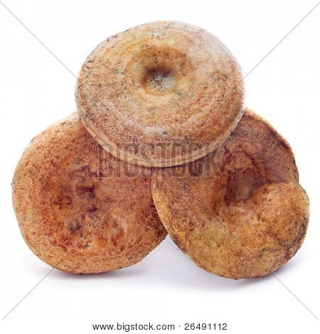 rovellons, fungo autunnale tipico della Spagna, su sfondo bianco