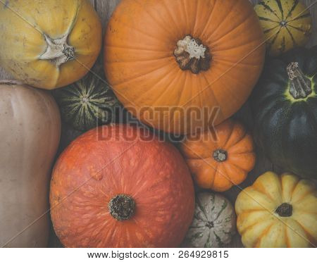 A Selection Of Different Pumpkins, Gourds And Winter Squash In A Full Frame Food Background Image
