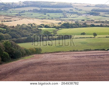Dorset Corfe Castle Field View Green Landscape Open Summer Day Clouds Weather Clear Nature Village F