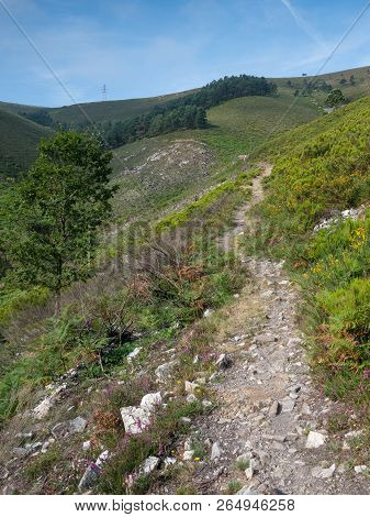 Camino De Santiago Trail Between Pola De Allande And Grandas De Salime, Asturias, Spain