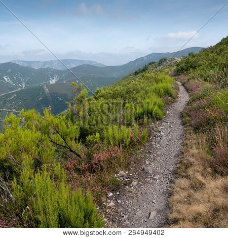 Camino De Santiago Trail Between Pola De Allande And Grandas De Salime, Asturias, Spain
