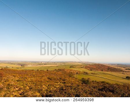 Hardy Monument Tall Building Old Special England Dorset Black Down Countryside Nature Landscape