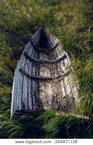 Old Wooden Rowing Boat Lying In The Bushes