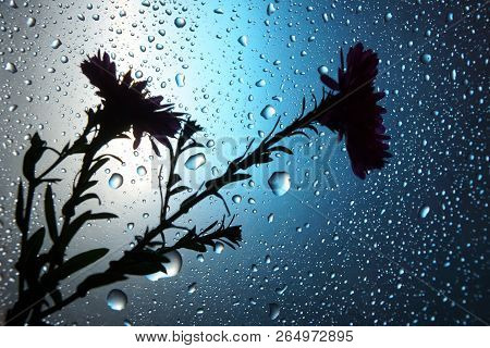 Abstract Water Drops Background Blue Light Spot The Silhouette Of A Flower Close Up