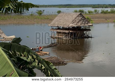 Jungle House Built On The River, Iquitos, Peru
