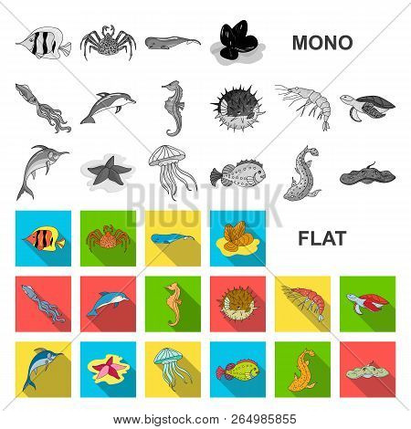 A Variety Of Marine Animals Flat Icons In Set Collection For Design. Fish And Shellfish Vector Symbo