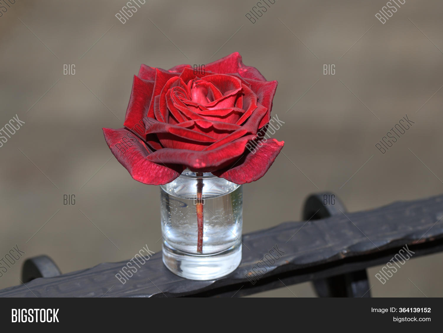Art Photo Rose Petals Image & Photo (Free Trial) Bigstock