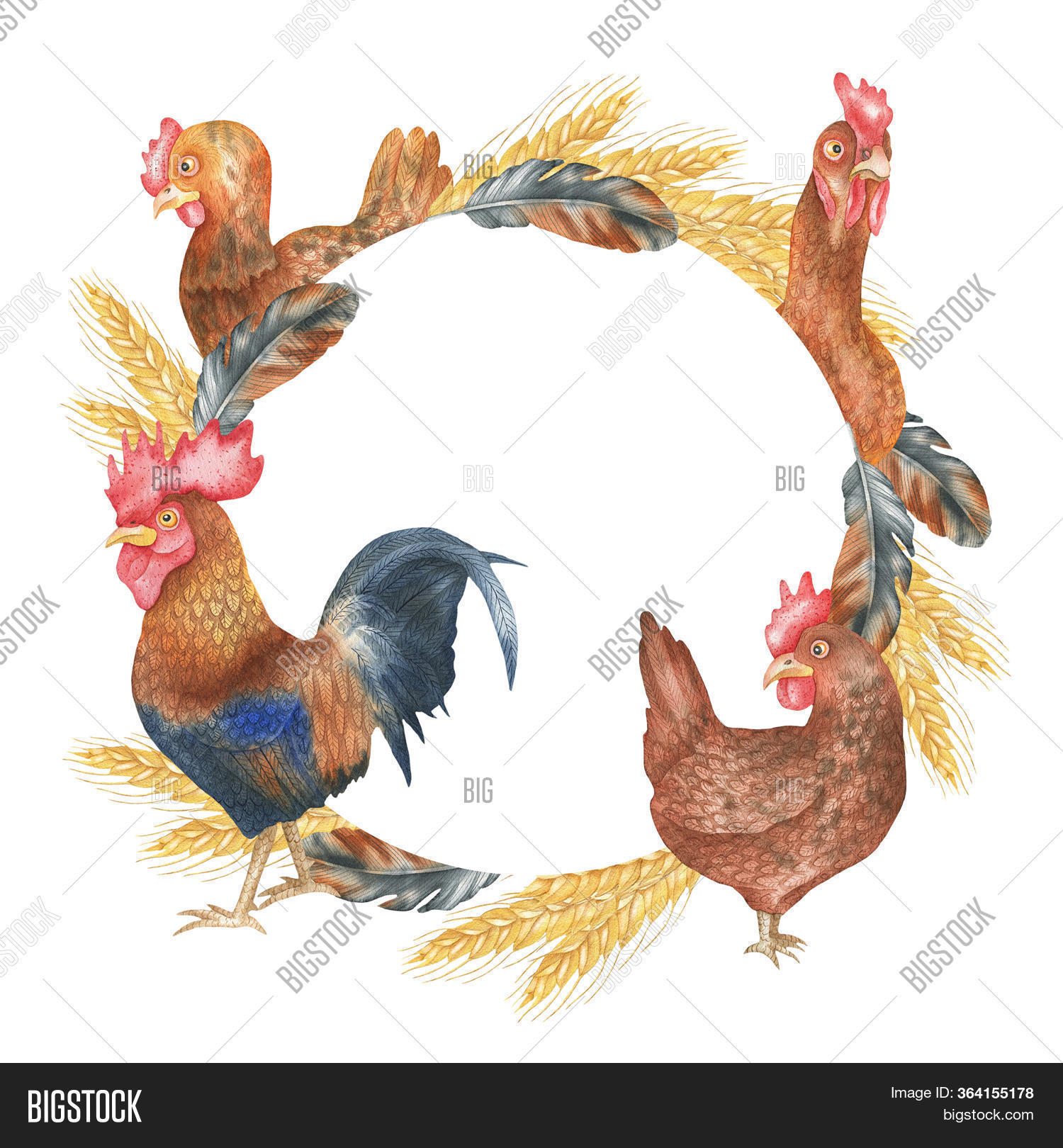 Round Frame Chickens, Image & Photo (Free Trial) Bigstock