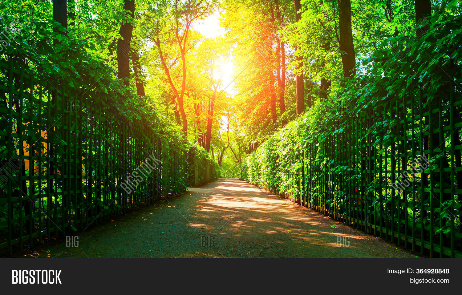 Summer Sunny Park Image & Photo (Free Trial) Bigstock