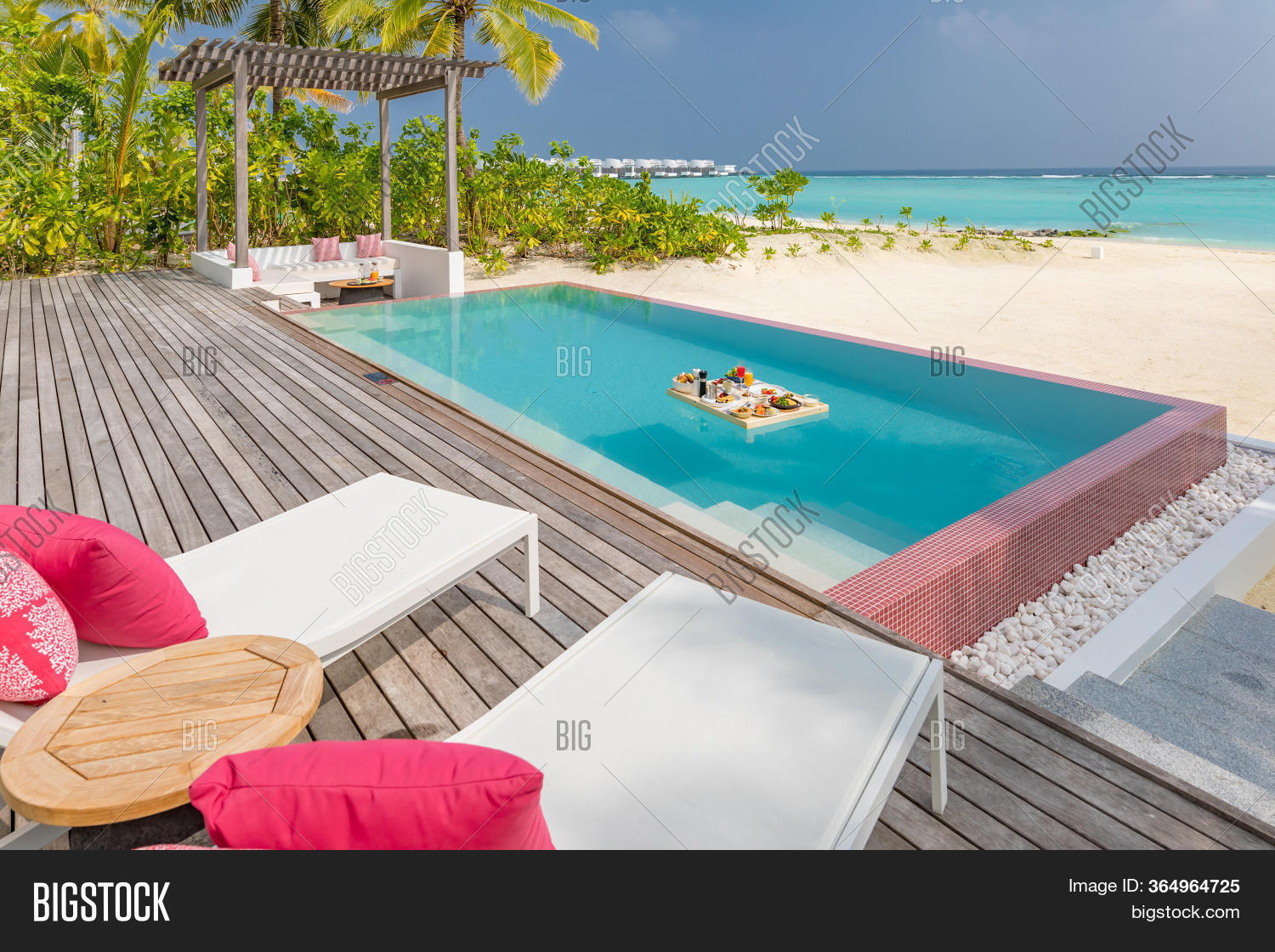 Breakfast Swimming Image & Photo (Free Trial) Bigstock