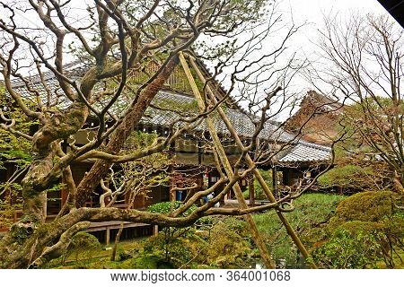 Kyoto, Jp - April 10 - Eikando Zenrinji Trees On April 10, 2017 In Kyoto, Japan. Eikando Formally Kn