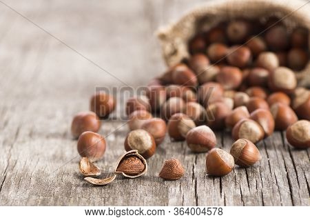 Hazelnuts, Filbert In Burlap Sack On Rustic Wooden Table. Heap Or Stack Of Hazel Nuts. Hazelnut Back