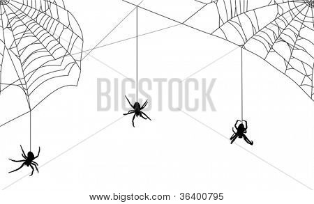 illustrazione con ragnatela isolata on white background