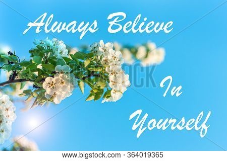 Wild Pear Tree Blossom. Horizontal Banner With White Flower On Cyan Color Blurred Backdrop.spring Na