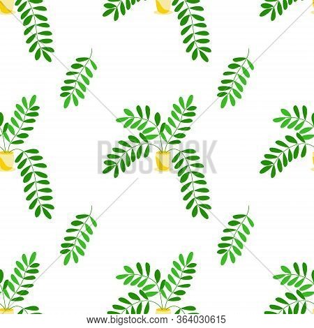 Seamless Pattern Of Home Deciduous Plants In Flower Pots. Potted Fern For Wrapping, Scrapbooking Pap