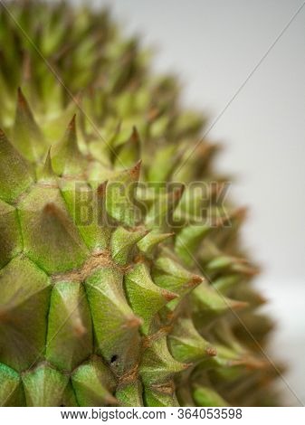 Durian, Thorny Fruit Is A Fruit Of Asia\ngolden Yellow Color Of The Fruit Is Sweet, Soft And Has A P