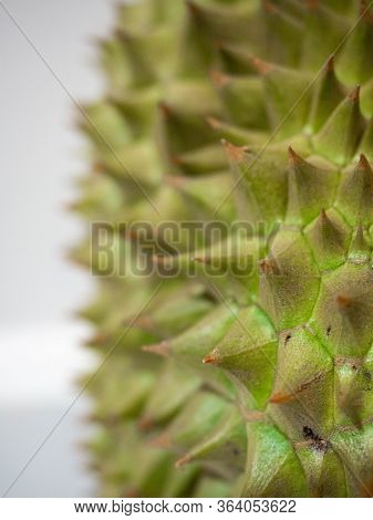 Durian, Thorny Fruit Is A Fruit Of Asia\ngolden Yellow Color Of The Fruit Is Sweet, Soft And Has A P