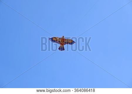Children\'s Toy. Children Fly A Flying Kite.\nbackground Image For Web Design.