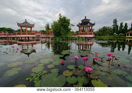 Melati Lake, Perlis, Malaysia With Foreground Lotus Flower.