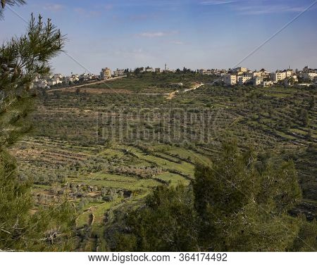 The Arab Village Of Bayt Surik, Israel, And Its Traditional Agricultural Terraces Stretching Downhil
