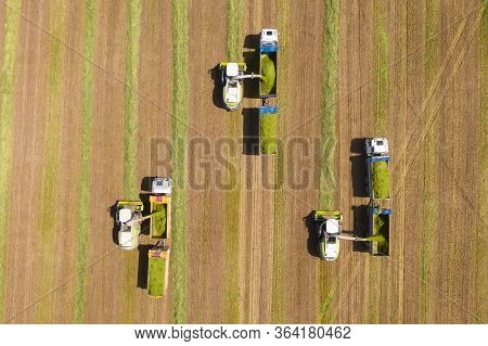 Combine Picking And Shredding Harvested Wheat For Silage And Unloads Onto A Double Trailer Truck.