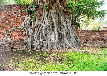View Of Buddha Head In Tree Roots At Brick Wall In Ruins Of Wat Mahathat Temple. Ayutthaya, Old Hist