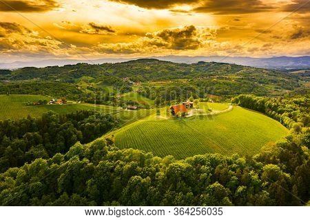 Austria Vineyards Landscape. Leibnitz Area In South Styria, Wine Country. Tuscany Like Place And Fam